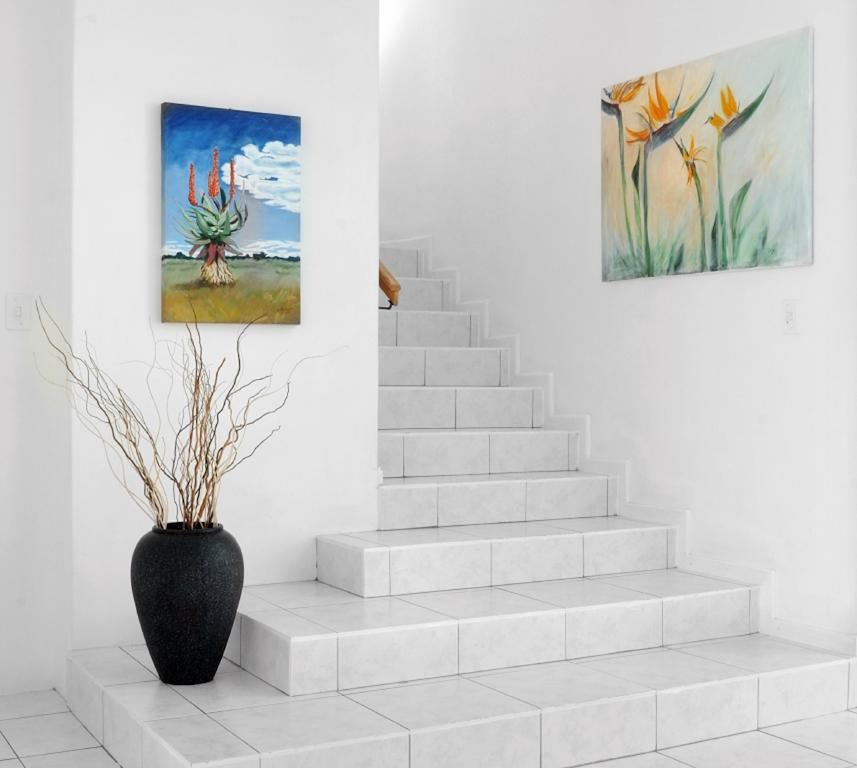 A Villa De Mer Guesthouse Πορτ Άλφρεντ Εξωτερικό φωτογραφία